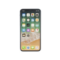 Apple - iPhone X (256GB)